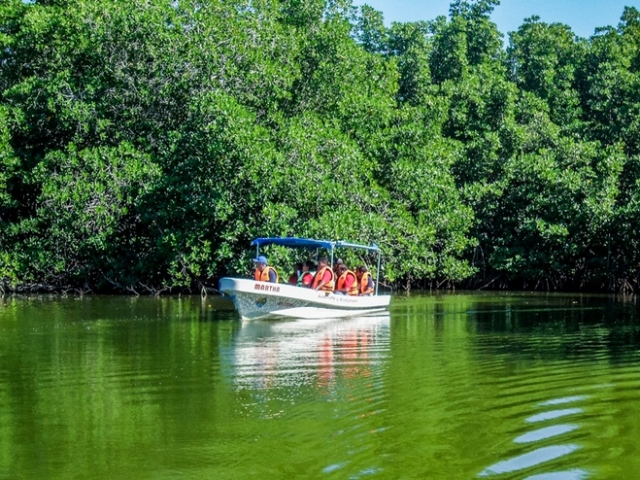 Laguna Visita guiada